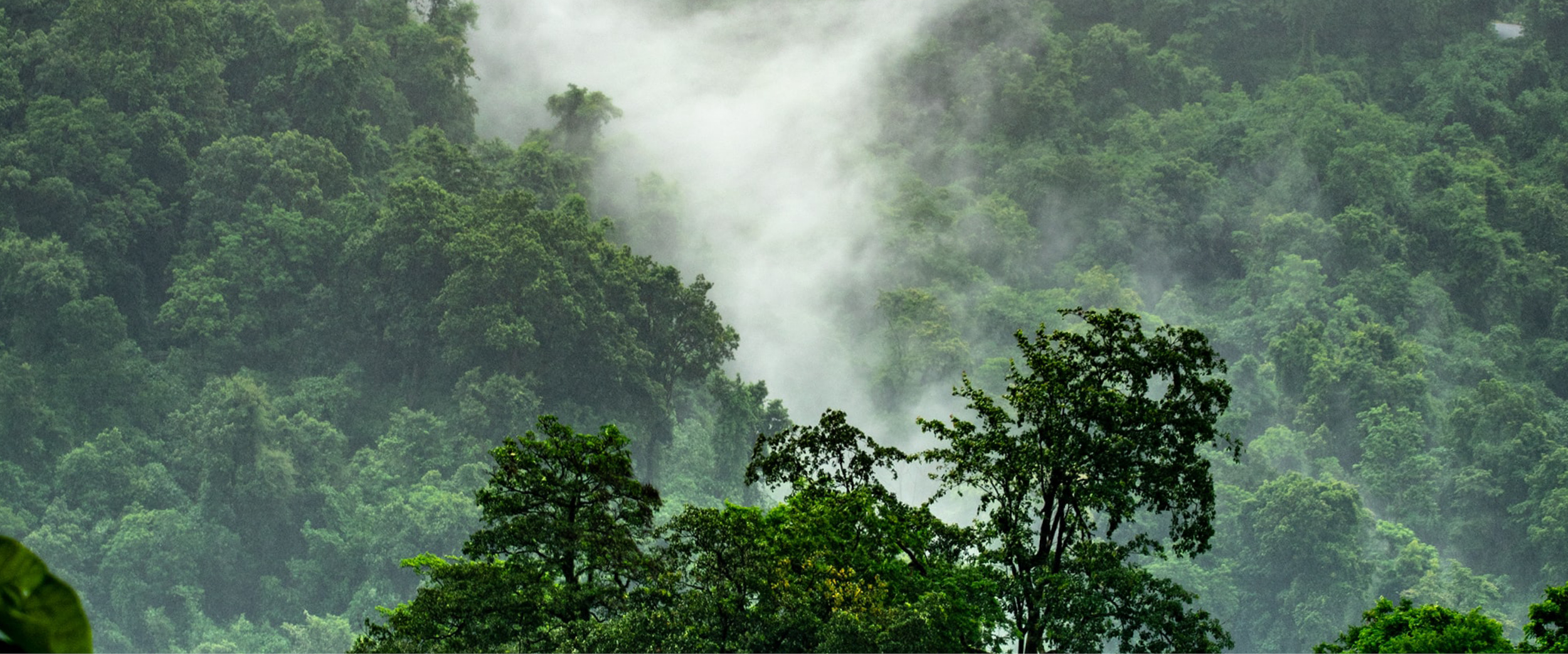 Natural Wonders of Kampot Cambodia