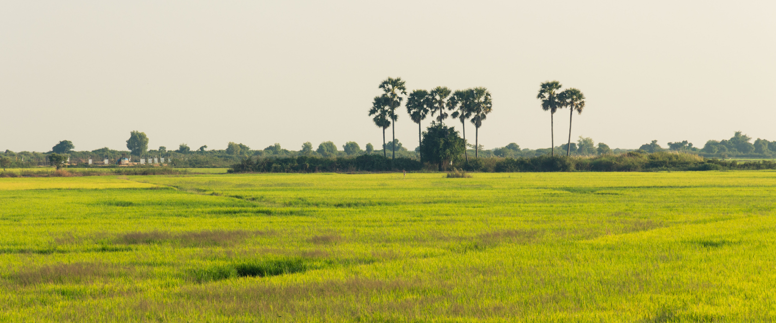 Heritage and Historical tour in Cambodia