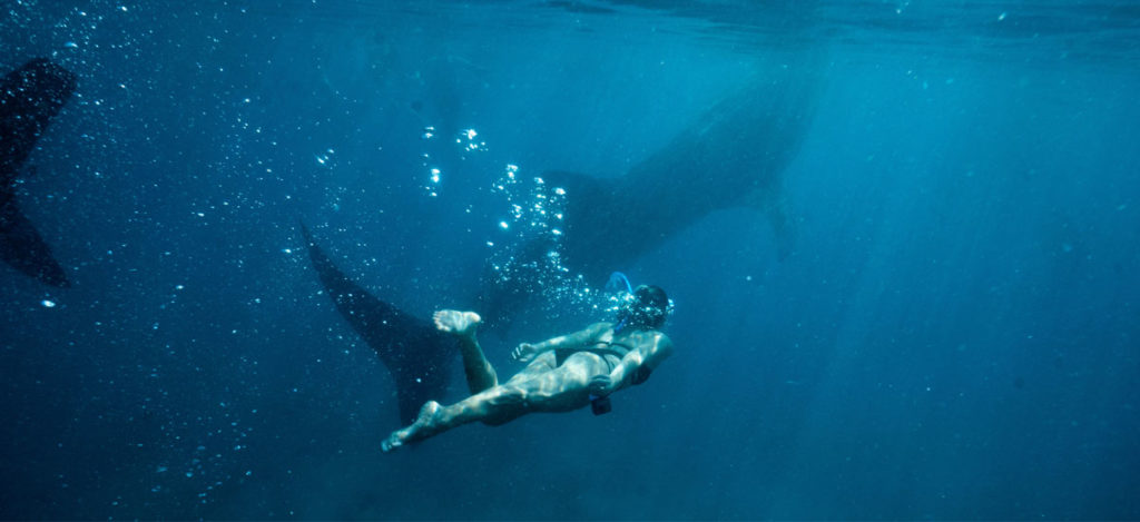 Scuba Diving at Koh Tang in Cambodia